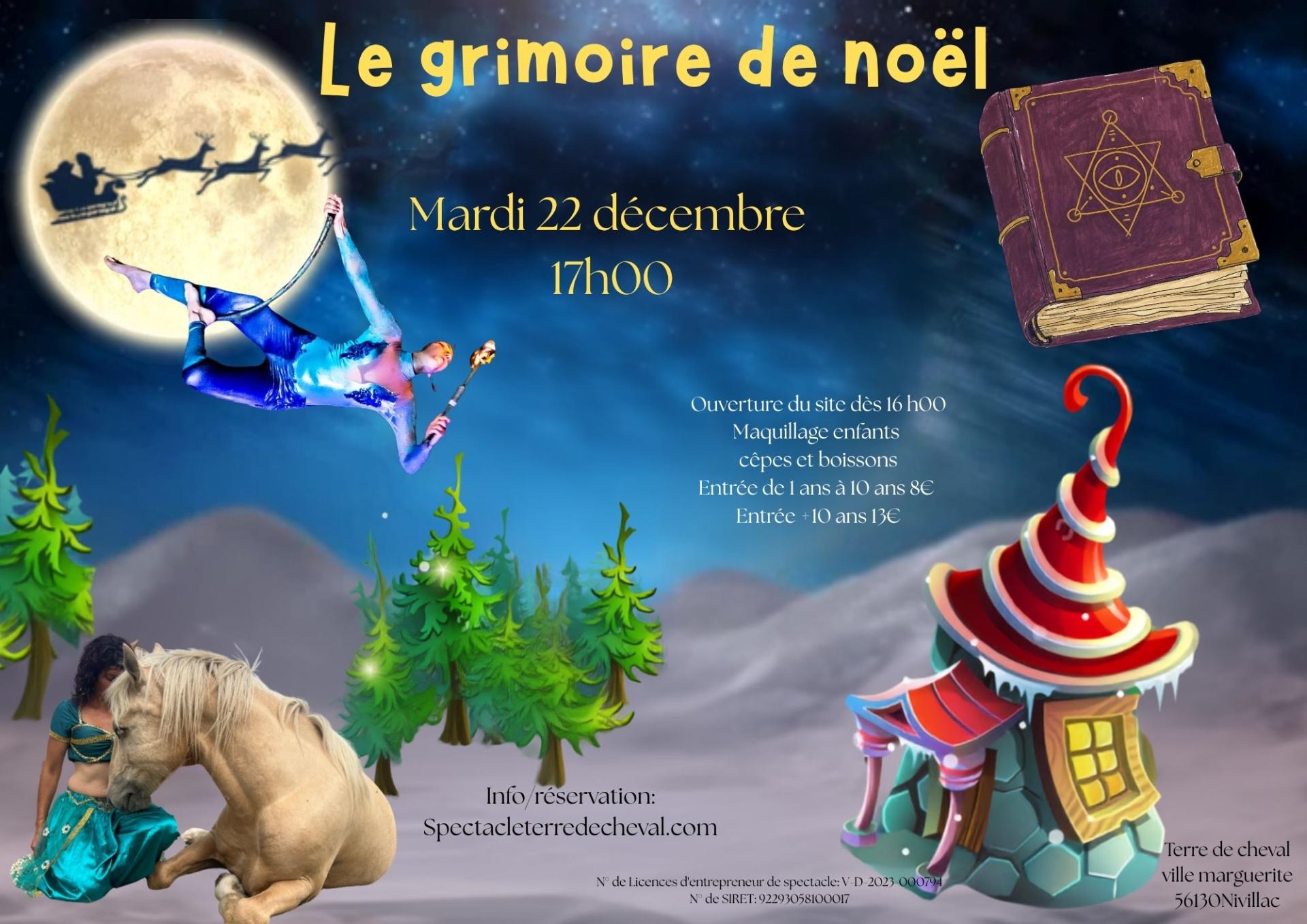 Affiche noel 1