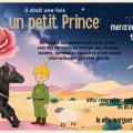 Petit prince terredecheval ete 2025