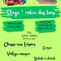 Stage robin des bois